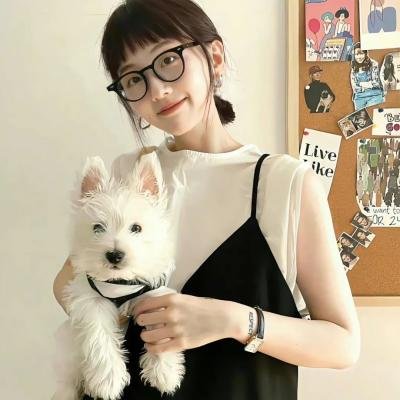 宿敌 第一季