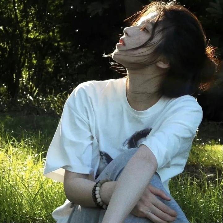 好莱坞以北