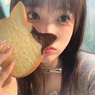 汉化日记第一季